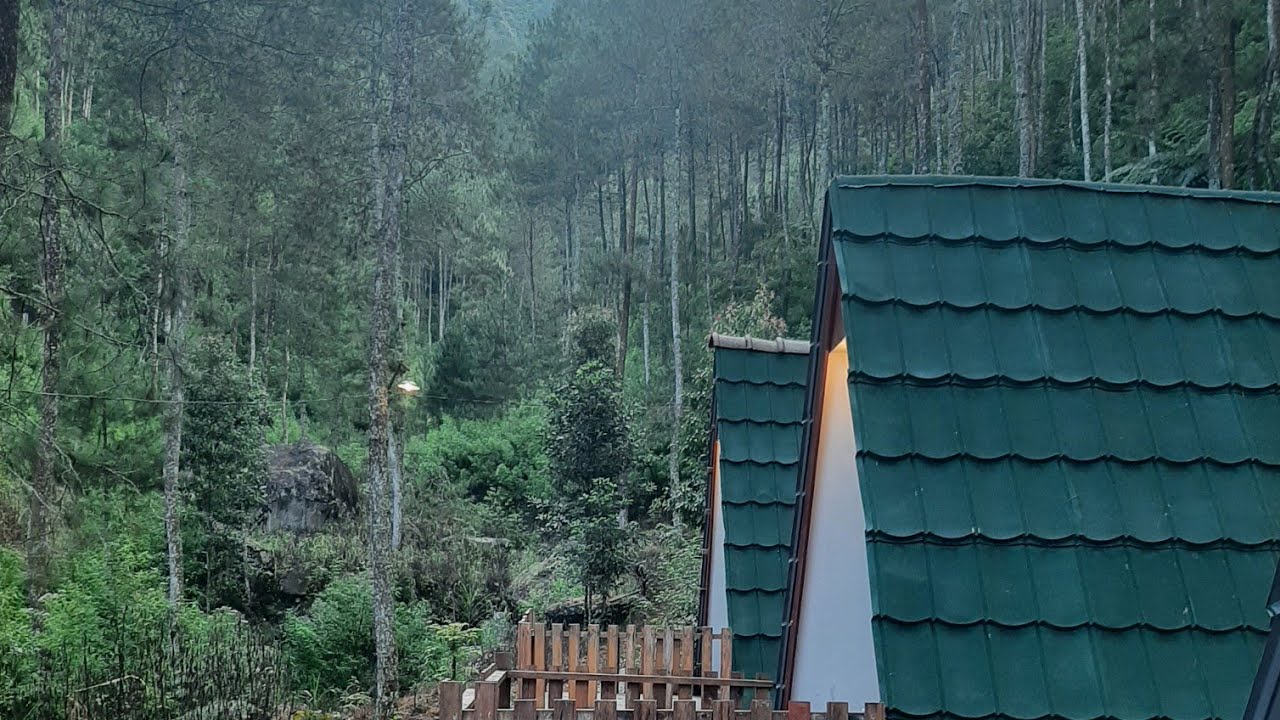 Telomoyo Nature Park: Petualangan Menakjubkan di Puncak Gunung